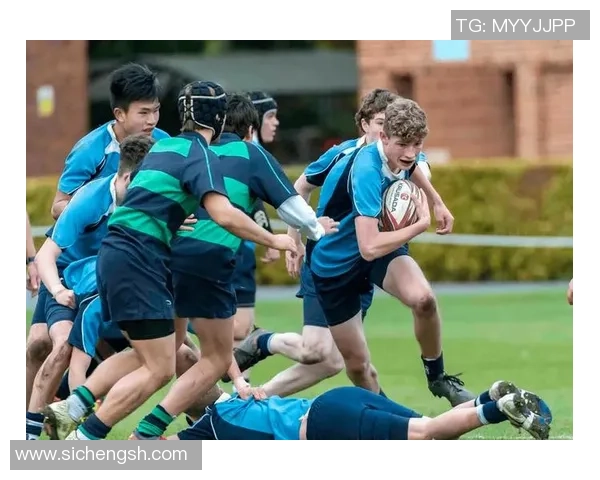 冷门运动探秘6686体育带你领略壁球橄榄球与板球的魅力与乐趣