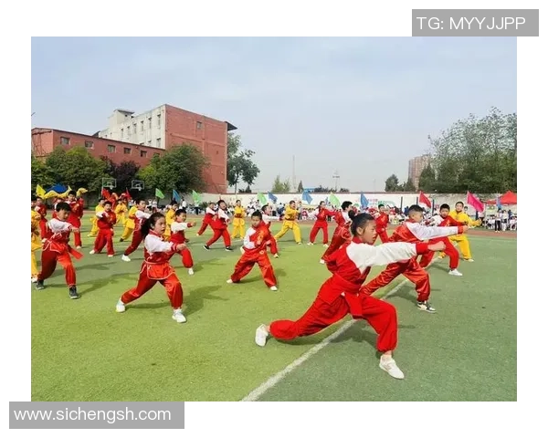 功夫体育携手熊猫体育共推武术与传统体育的创新发展与文化传承