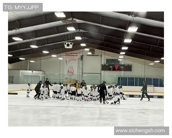 冰球突破官网注册全攻略从新手到高手的成长之路