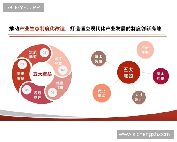 提升客户身份验证与反洗钱系统自动化水平的创新策略与实践探索
